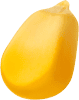 corn kernel